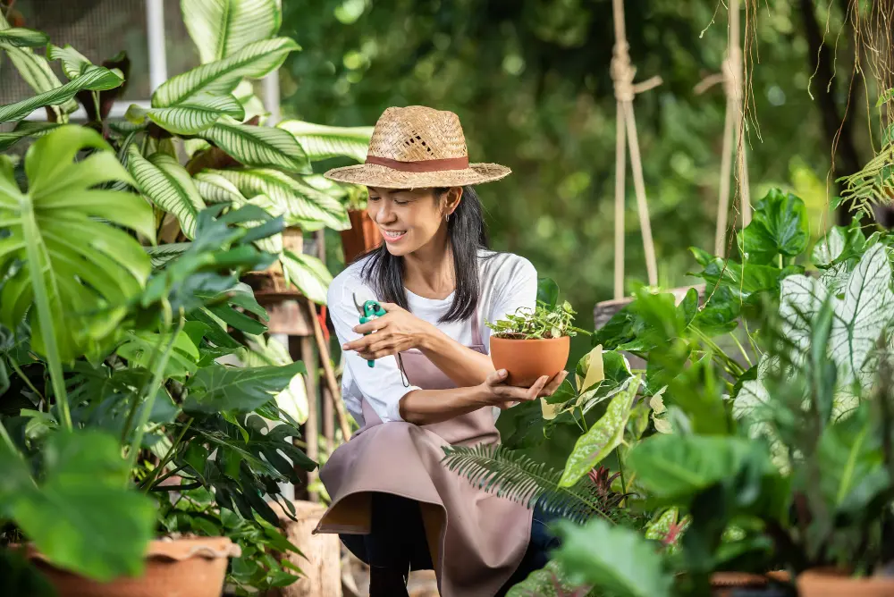 Gardening Tips