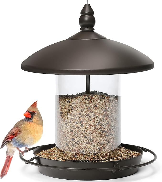 Bird Feeder